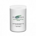 Collagen Filler Day Cream -32oz / 1 Quart